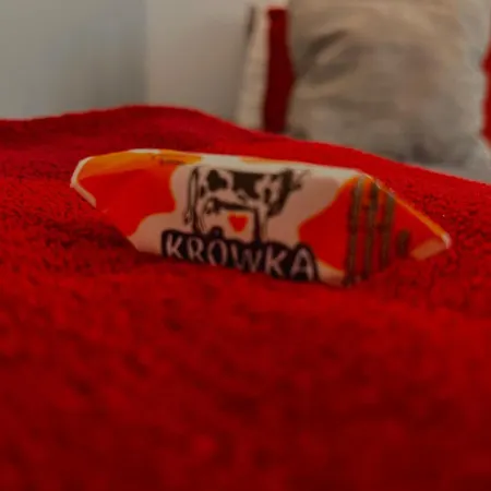 Super 1 Bed In Center