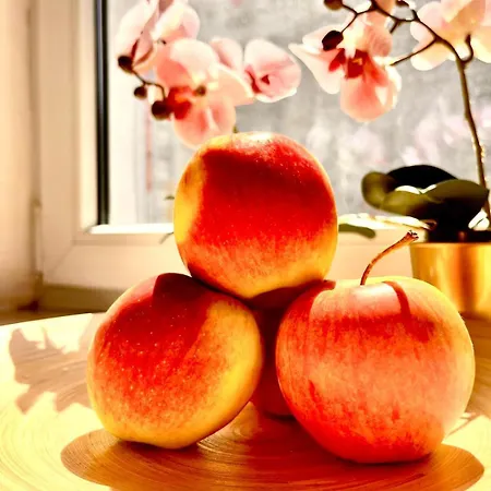 Super 1 Bed In Center Warszawa