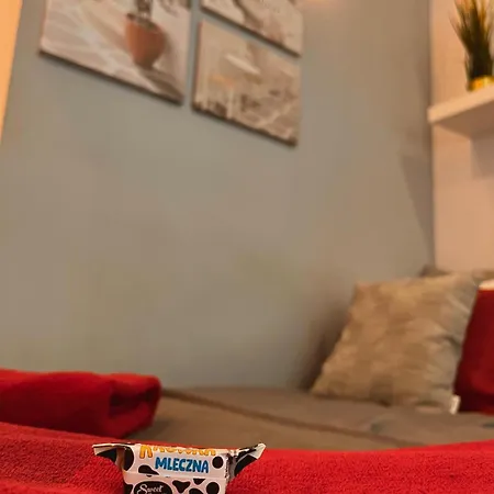 Super 1 Bed In Center Varsó